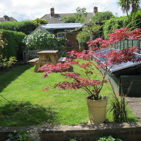 Perfect For Petersfield B&B エクステリア 写真