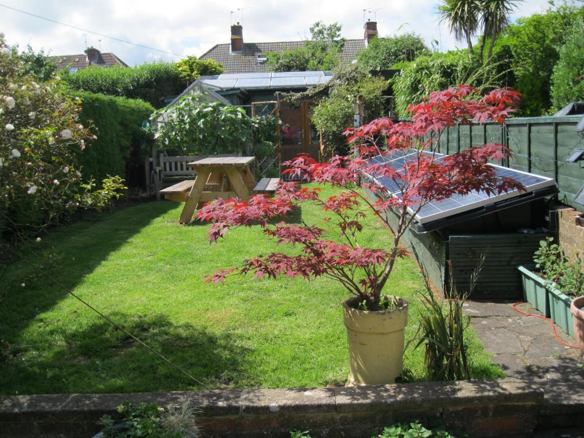 Perfect For Petersfield B&B エクステリア 写真