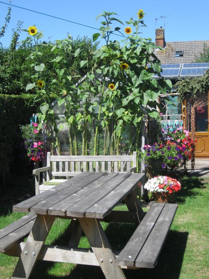 Perfect For Petersfield B&B エクステリア 写真