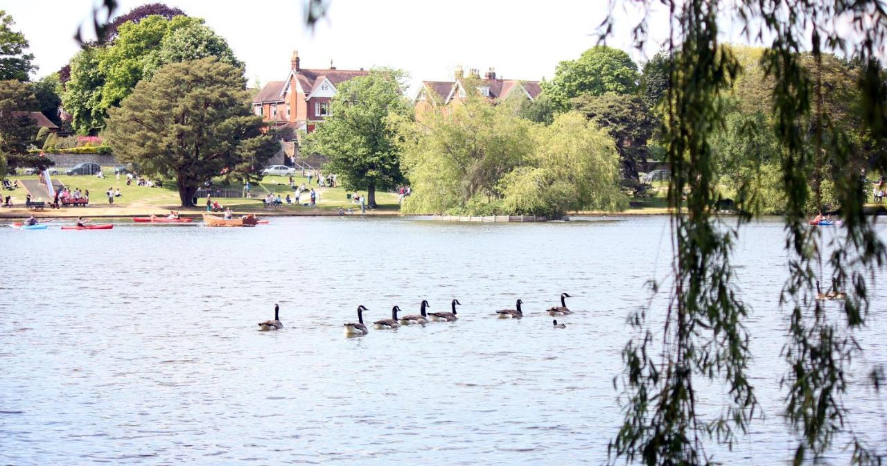 Perfect For Petersfield B&B エクステリア 写真